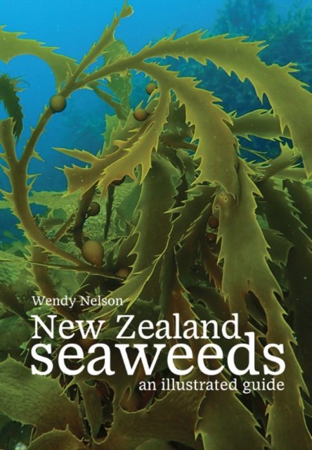 New Zealand Seaweeds : An Illustrated Guide, Paperback / softback Book