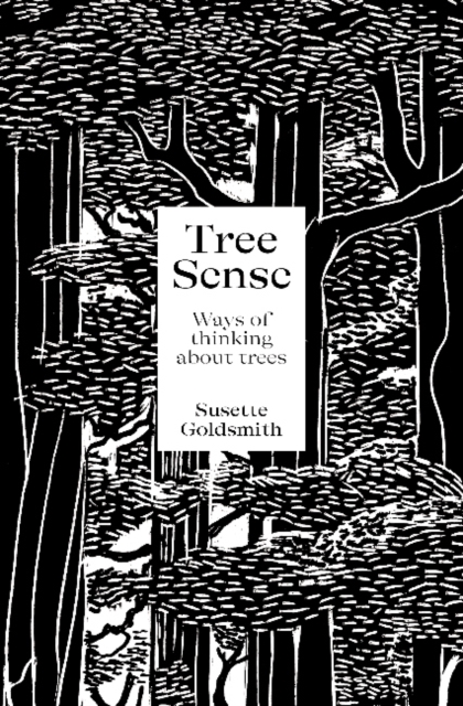 Tree Sense : Ways of thinking about trees, Paperback / softback Book