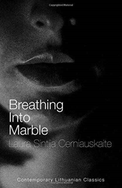 Breathing into Marble, Paperback / softback Book