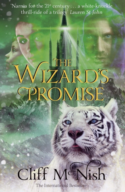 The Wizard's Promise, Paperback / softback Book