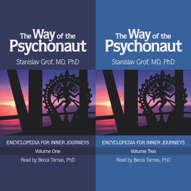 The Way of the Psychonaut Vol. 1 : Encyclopedia for Inner Journeys, Paperback / softback Book