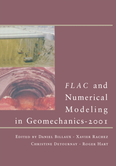 FLAC and Numerical Modeling in Geomechanics - 2001, PDF eBook