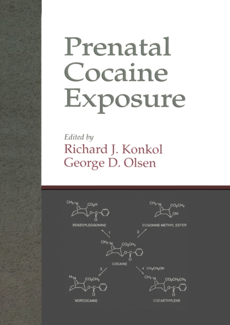 Prenatal Cocaine Exposure, PDF eBook