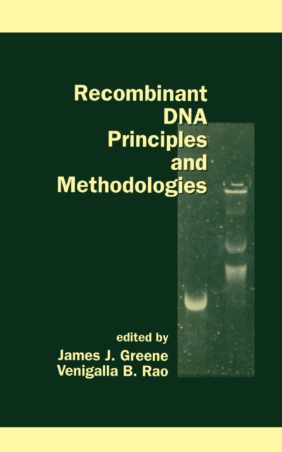 Recombinant DNA Principles and Methodologies, EPUB eBook