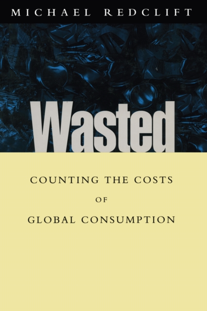Wasted : Counting the costs of global consumption, EPUB eBook