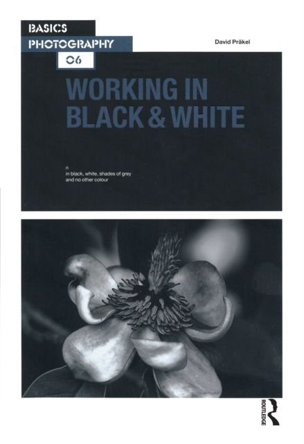 Working in Black & White, EPUB eBook