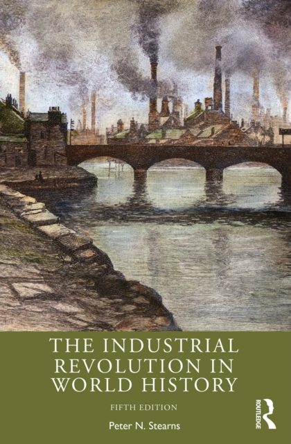 The Industrial Revolution in World History, EPUB eBook