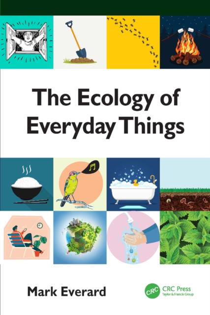 The Ecology of Everyday Things, PDF eBook