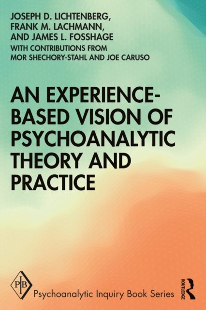 An Experience-based Vision of Psychoanalytic Theory and Practice, PDF eBook