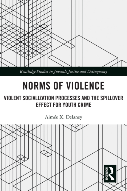 Norms of Violence : Violent Socialization Processes and the Spillover Effect for Youth Crime, PDF eBook
