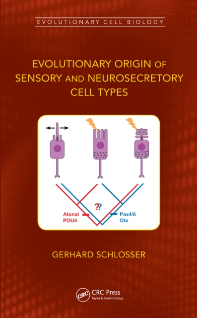 Evolutionary Origin of Sensory and Neurosecretory Cell Types : Vertebrate Cranial Placodes, volume 2, PDF eBook