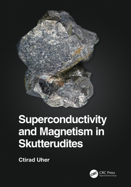 Superconductivity and Magnetism in Skutterudites, EPUB eBook