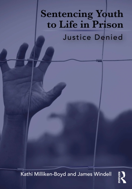 Sentencing Youth to Life in Prison : Justice Denied, PDF eBook