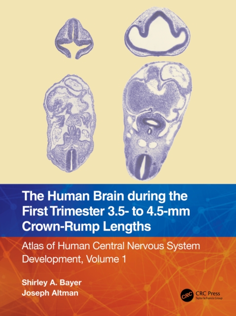 The Human Brain during the First Trimester 3.5- to 4.5-mm Crown-Rump Lengths : Atlas of Human Central Nervous System Development, Volume 1, EPUB eBook