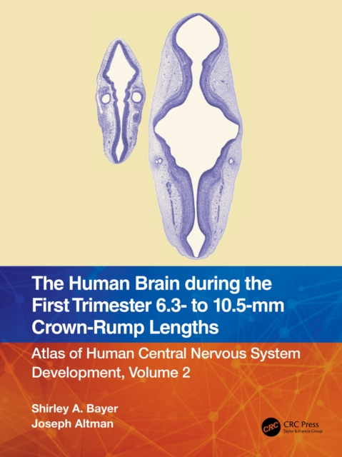 The Human Brain during the First Trimester 6.3- to 10.5-mm Crown-Rump Lengths : Atlas of Human Central Nervous System Development, Volume 2, PDF eBook