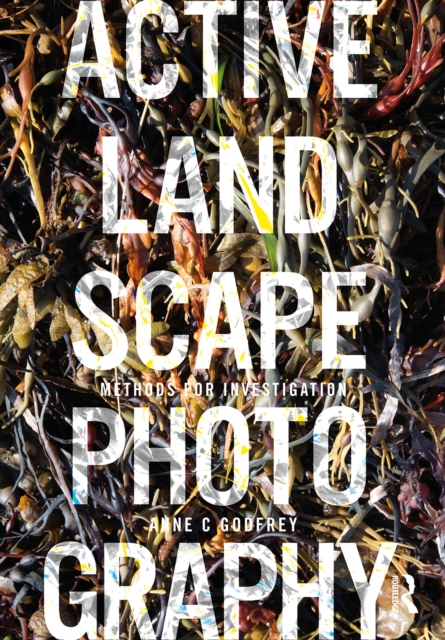 Active Landscape Photography : Methods for Investigation, PDF eBook