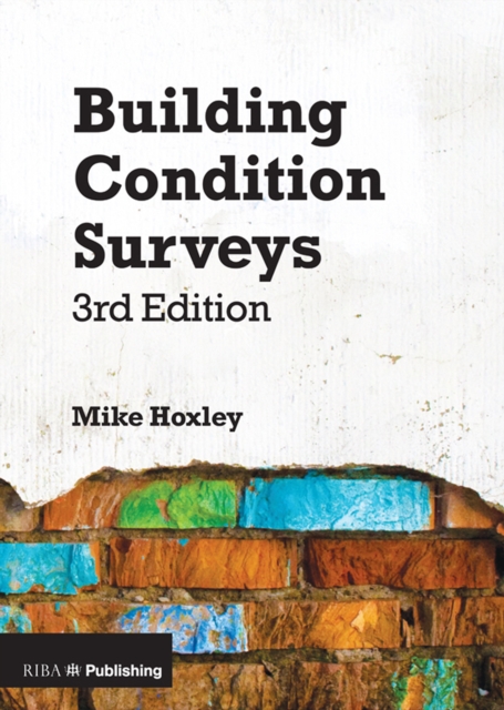 Building Condition Surveys : A Practical and Concise Introduction, PDF eBook