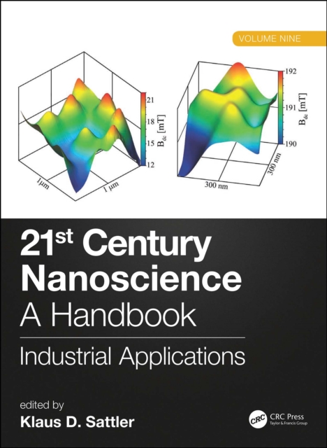 21st Century Nanoscience - A Handbook : Industrial Applications (Volume Nine), PDF eBook