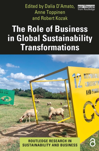 The Role of Business in Global Sustainability Transformations, EPUB eBook