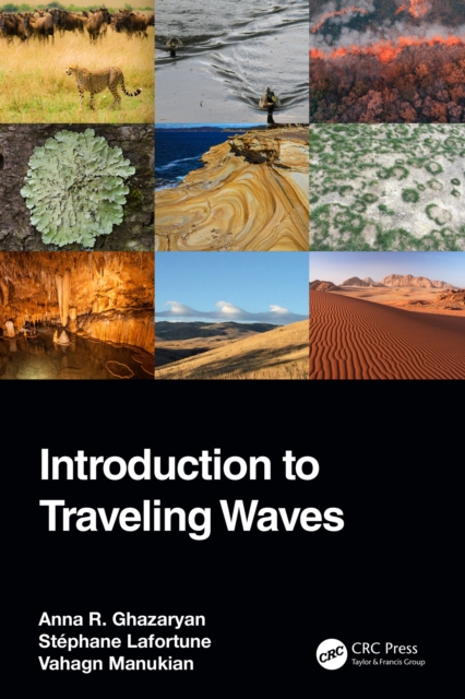 Introduction to Traveling Waves, EPUB eBook