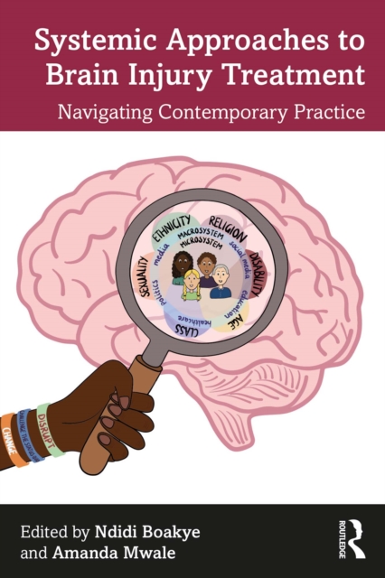 Systemic Approaches to Brain Injury Treatment : Navigating Contemporary Practice, EPUB eBook