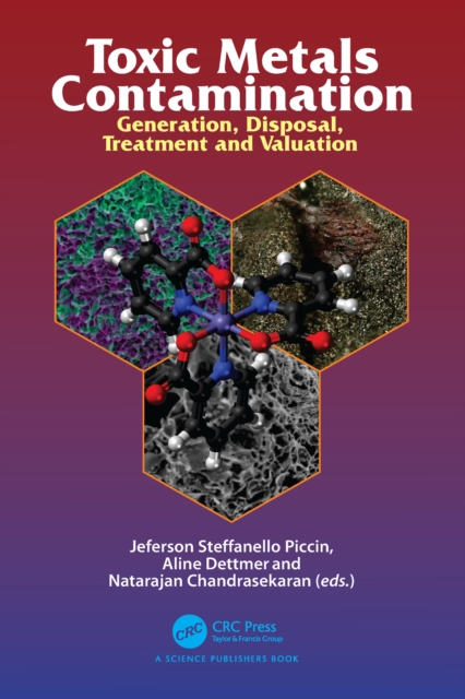 Toxic Metals Contamination : Generation, Disposal, Treatment and Valuation, EPUB eBook