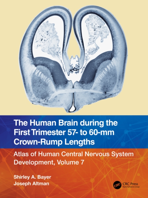 The Human Brain during the First Trimester 57- to 60-mm Crown-Rump Lengths : Atlas of Human Central Nervous System Development, Volume 7, EPUB eBook