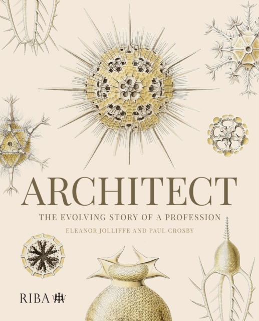 Architect: The evolving story of a profession, PDF eBook