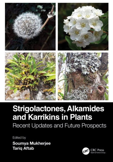 Strigolactones, Alkamides and Karrikins in Plants : Recent Updates and Future Prospects, PDF eBook