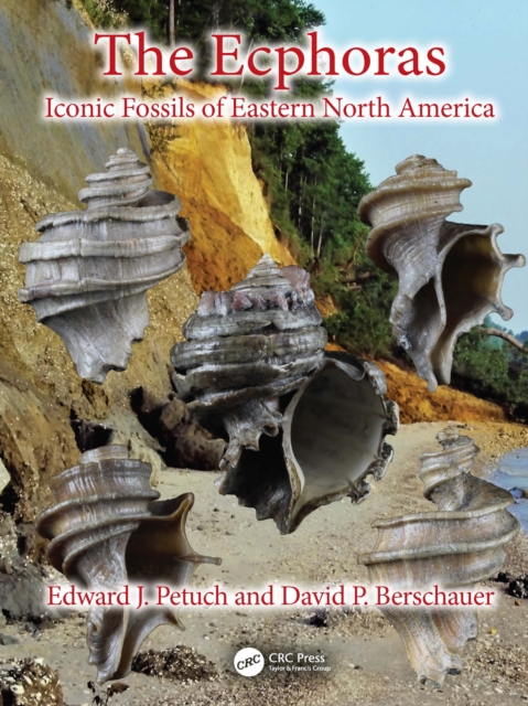 The Ecphoras : Iconic Fossils of Eastern North America, EPUB eBook