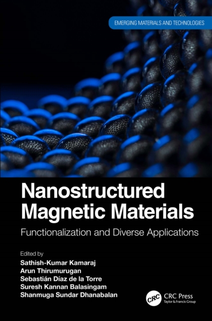 Nanostructured Magnetic Materials : Functionalization and Diverse Applications, PDF eBook