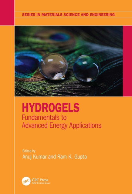 Hydrogels : Fundamentals to Advanced Energy Applications, EPUB eBook