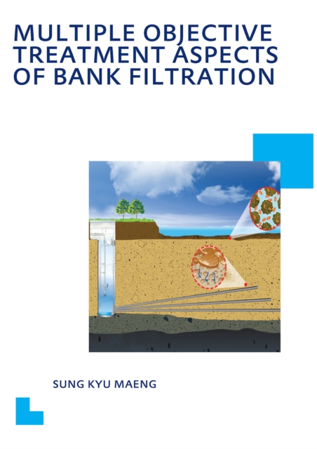 Multiple Objective Treatment Aspects of Bank Filtration, EPUB eBook