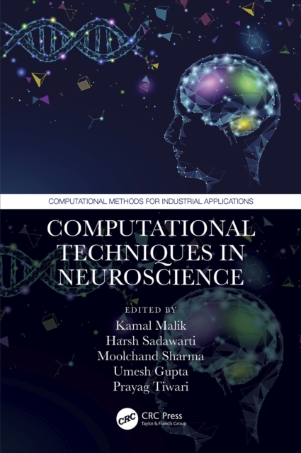 Computational Techniques in Neuroscience, PDF eBook