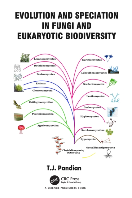 Evolution and Speciation in Fungi and Eukaryotic Biodiversity, PDF eBook