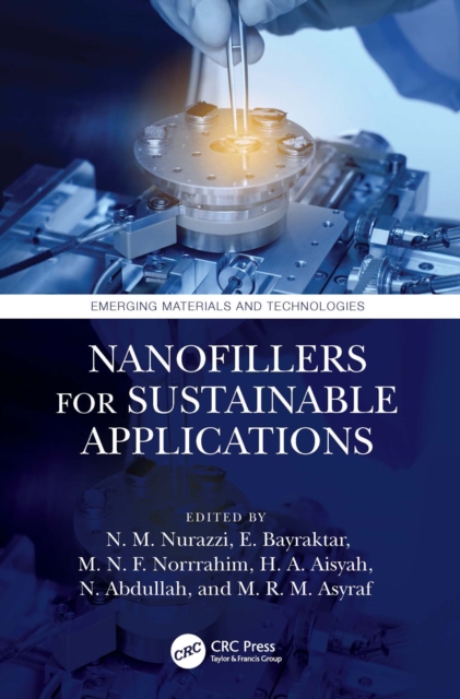 Nanofillers for Sustainable Applications, EPUB eBook