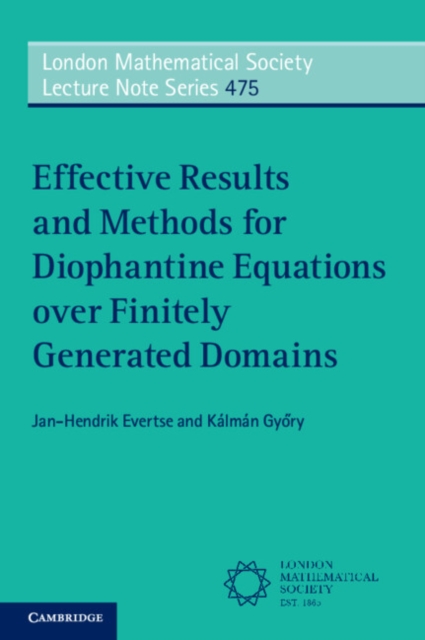 Effective Results and Methods for Diophantine Equations over Finitely Generated Domains, Paperback / softback Book