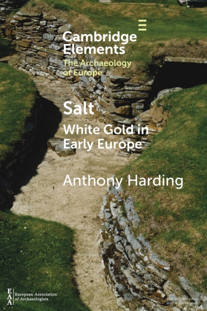 Salt : White Gold in Early Europe, Paperback / softback Book