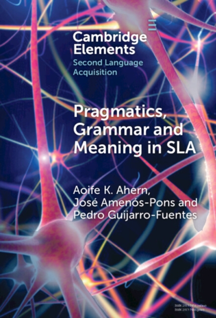 Pragmatics, Grammar and Meaning in SLA, EPUB eBook
