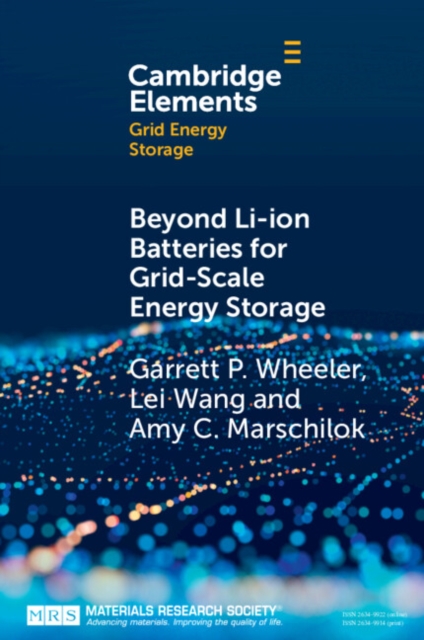 Beyond Li-ion Batteries for Grid-Scale Energy Storage, EPUB eBook