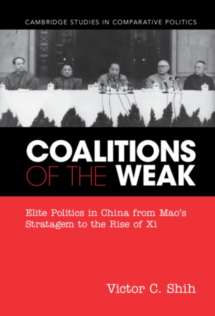 Coalitions of the Weak, EPUB eBook