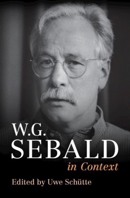 W. G. Sebald in Context, EPUB eBook