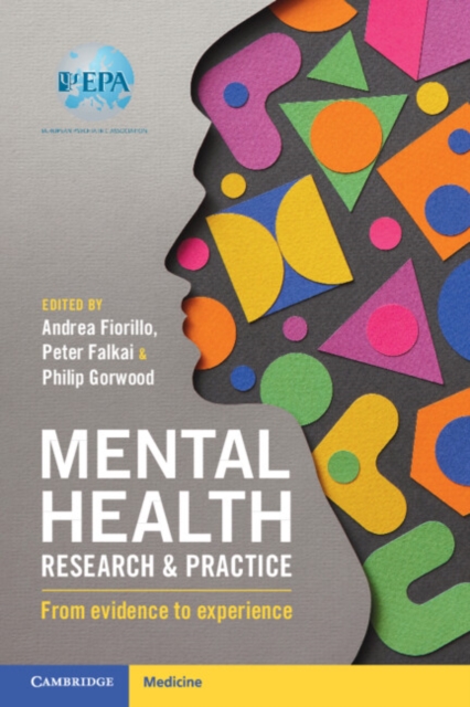 Mental Health Research and Practice : From Evidence to Experience, Paperback / softback Book