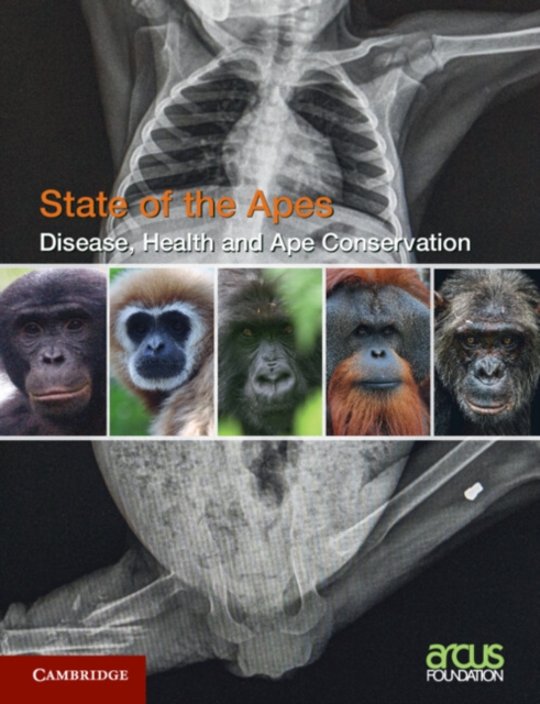 Disease, Health and Ape Conservation: Volume 5, Paperback / softback Book
