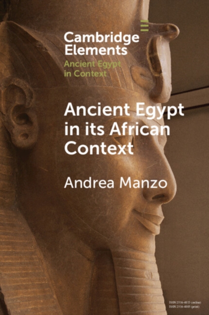 Ancient Egypt in its African Context : Economic Networks, Social and Cultural Interactions, EPUB eBook