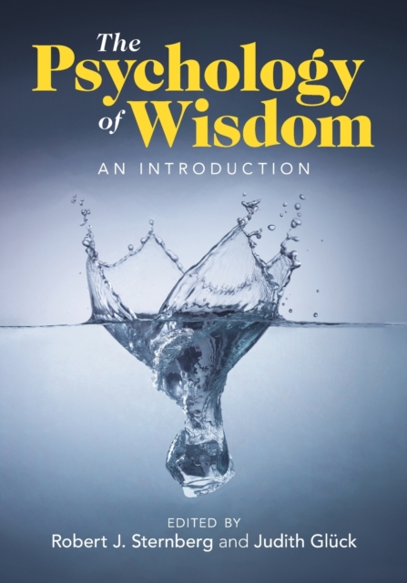 The Psychology of Wisdom : An Introduction, Paperback / softback Book