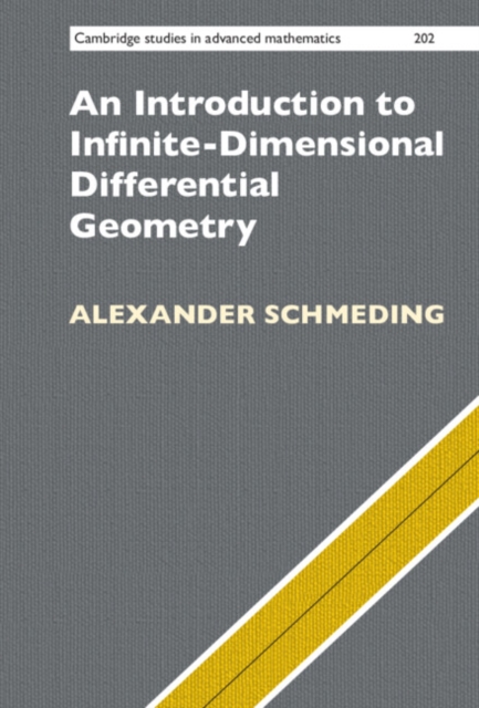 Introduction to Infinite-Dimensional Differential Geometry, PDF eBook