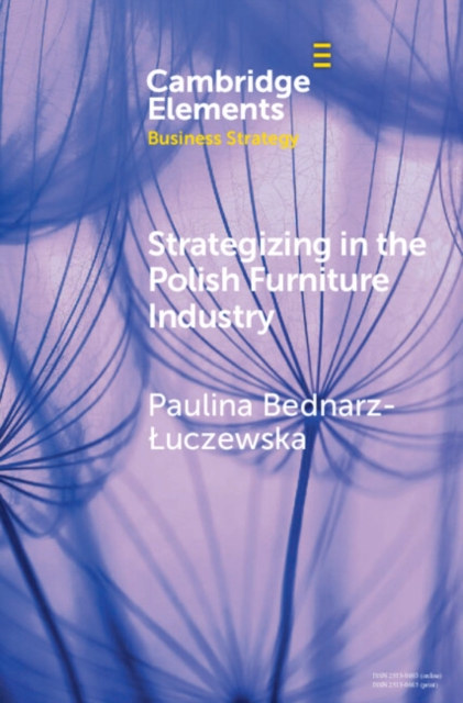 Strategizing in the Polish Furniture Industry, EPUB eBook