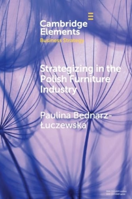 Strategizing in the Polish Furniture Industry, Paperback / softback Book