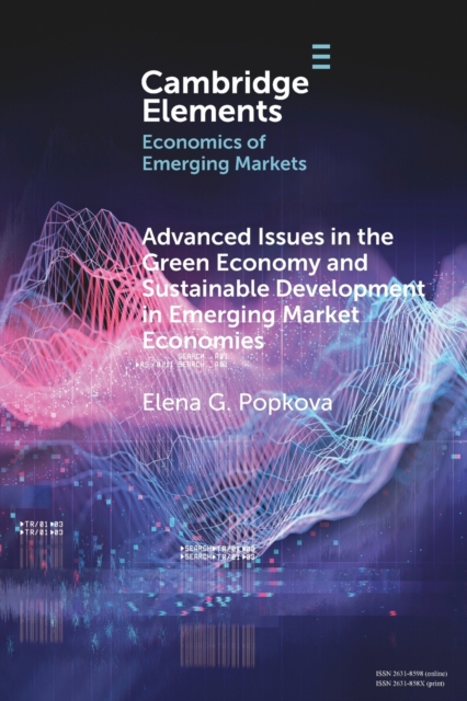 Advanced Issues in the Green Economy and Sustainable Development in Emerging Market Economies, Paperback / softback Book